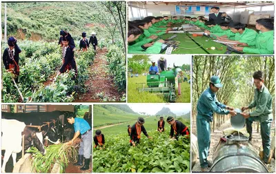 An sinh xã hội ngày càng được bảo đảm - Ảnh minh họa An sinh xã hội ngày càng được bảo đảm - Ảnh minh họa